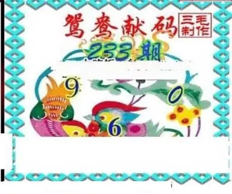 25233期: 三毛3D精品图谜