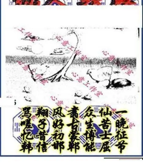 26079期: 三毛3D精品图谜