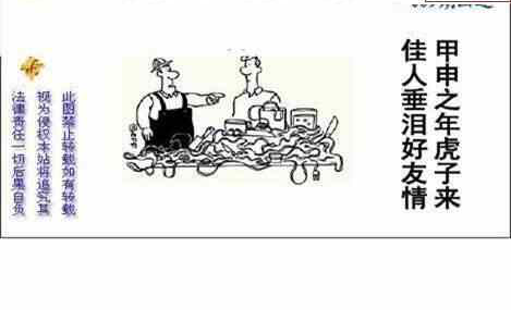 24089期: 白老3D杀码图版