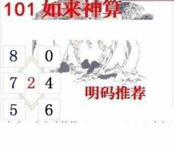 24101期: 白老3D杀码图版