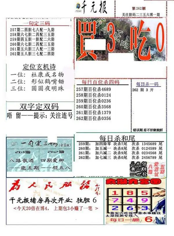 25262期: 福彩3D全套图版参考