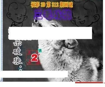 25312期: 三毛3D精品图谜