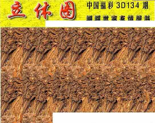 24134期: 3D蝴蝶世家蝴蝶彩图