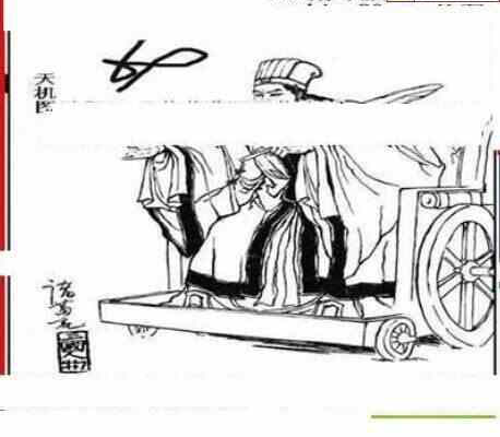 24067期: 三毛3D精品图谜