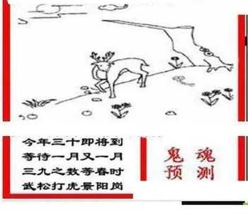 26081期: 三毛3D精品图谜