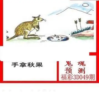 26049期: 白老3D杀码图版