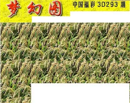 25293期: 3D蝴蝶世家蝴蝶彩图