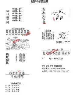 26086期: 福彩3D全套图版参考