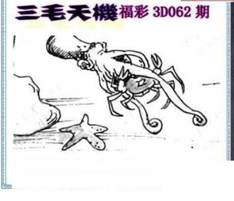 25062期: 三毛3D精品图谜