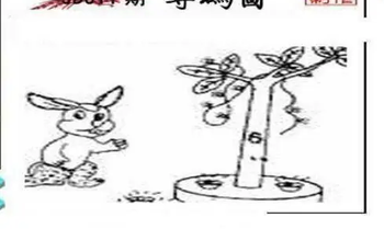 26011期: 三毛3D精品图谜