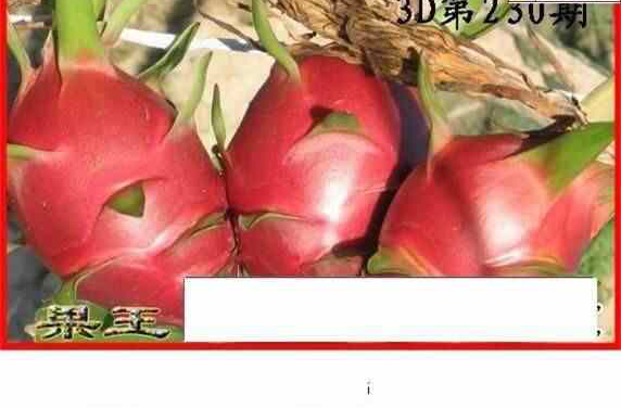 24230期: 白老3D杀码图版