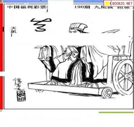 25190期: 三毛3D精品图谜