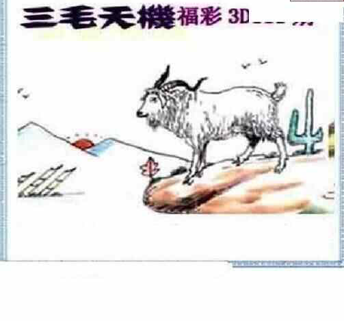 24111期: 三毛3D精品图谜