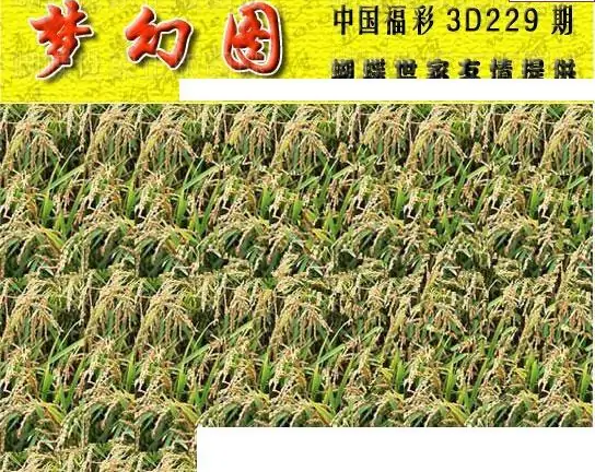 25229期: 3D蝴蝶世家蝴蝶彩图