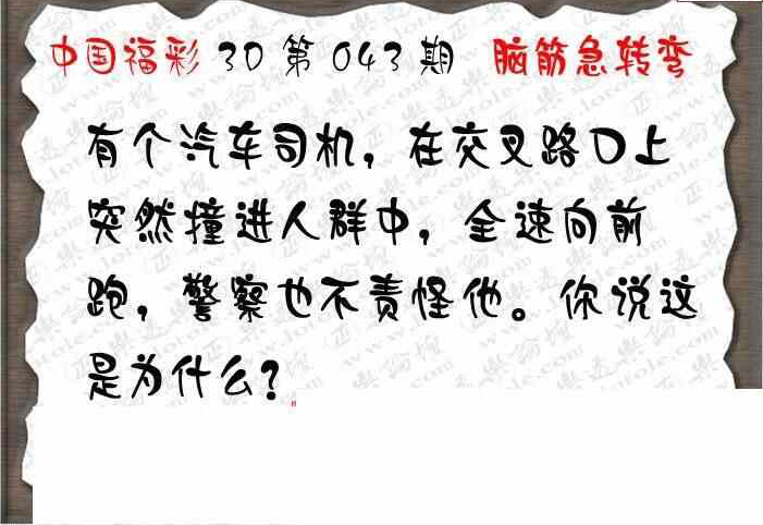 25043期: 3D蝴蝶世家蝴蝶彩图