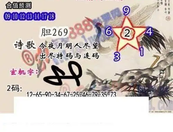 25309期: 白老3D杀码图版