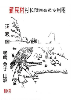 25351期: 老村长福彩3D天天图谜