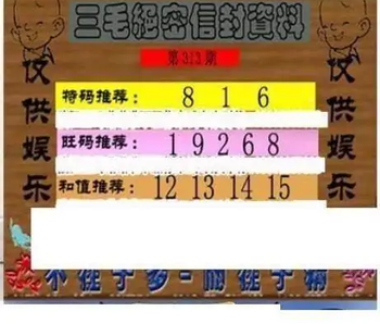 25313期: 三毛3D精品图谜