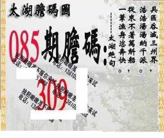 24085期: 太湖图福彩3D精品预测