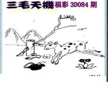 26084期: 三毛3D精品图谜