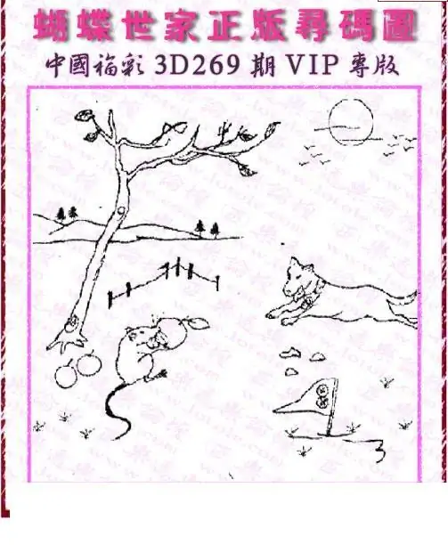 25269期: 3D蝴蝶世家蝴蝶彩图