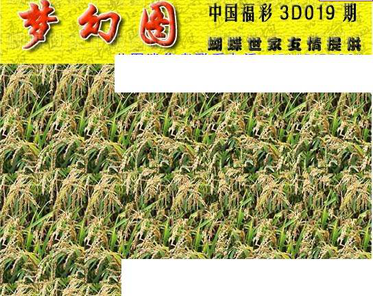 25019期: 3D蝴蝶世家蝴蝶彩图