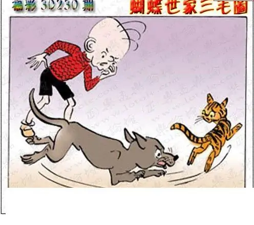 25230期: 3D蝴蝶世家蝴蝶彩图