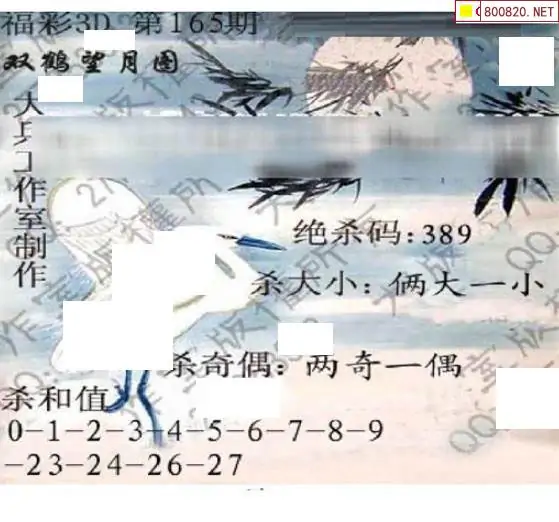 25165期: 大兵福彩3D黄金报图版