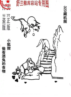 25323期: 老村长福彩3D天天图谜