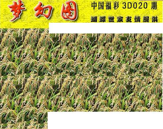 25020期: 3D蝴蝶世家蝴蝶彩图