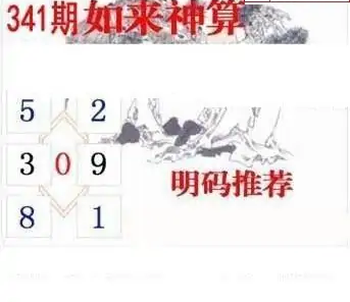 25341期: 白老3D杀码图版