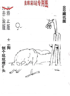 26002期: 老村长福彩3D天天图谜