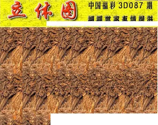 25087期: 3D蝴蝶世家蝴蝶彩图