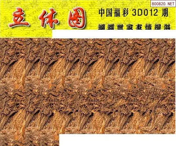 26012期: 3D蝴蝶世家蝴蝶彩图