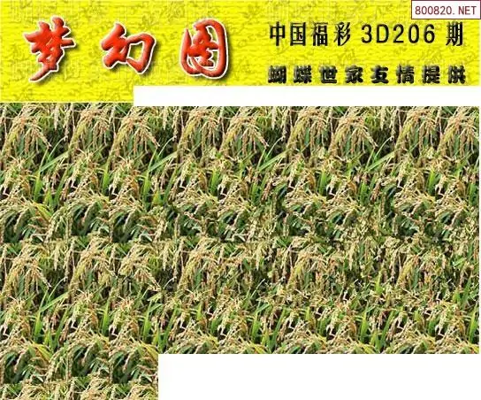 25206期: 3D蝴蝶世家蝴蝶彩图