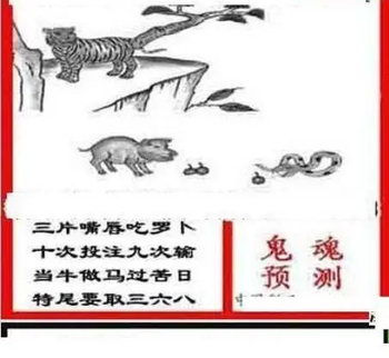 26008期: 三毛3D精品图谜