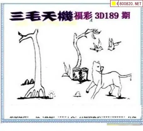 25189期: 三毛3D精品图谜