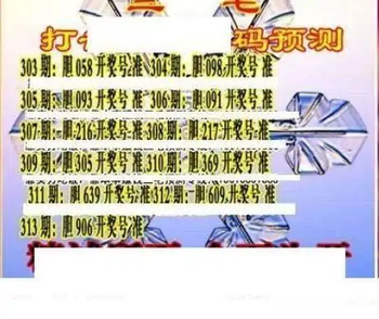 25313期: 三毛3D精品图谜