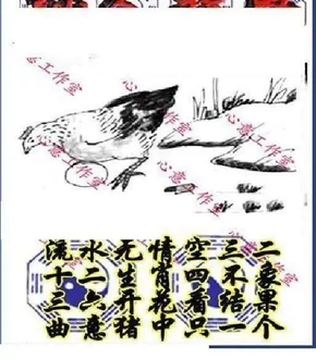 25346期: 三毛3D精品图谜