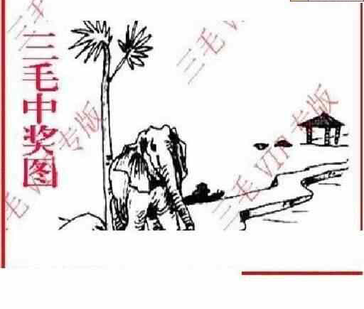 24102期: 三毛3D精品图谜