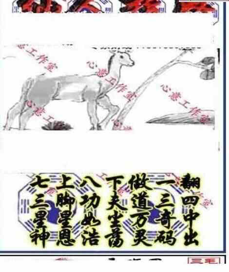 25055期: 三毛3D精品图谜