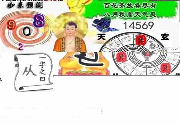 24246期: 白老3D杀码图版