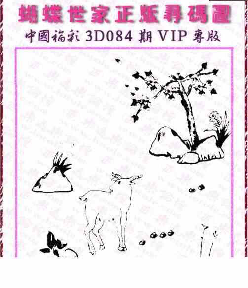 24084期: 3D蝴蝶世家蝴蝶彩图