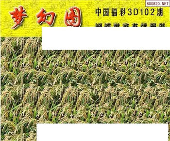 26102期: 3D蝴蝶世家蝴蝶彩图