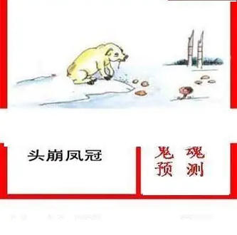 26063期: 白老3D杀码图版