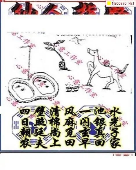 25178期: 三毛3D精品图谜