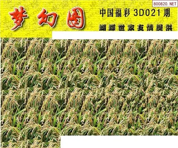 26021期: 3D蝴蝶世家蝴蝶彩图