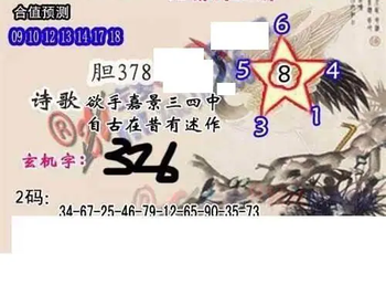 26078期: 白老3D杀码图版