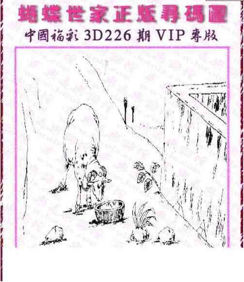 24226期: 3D蝴蝶世家蝴蝶彩图