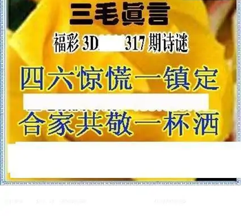 25317期: 三毛3D精品图谜